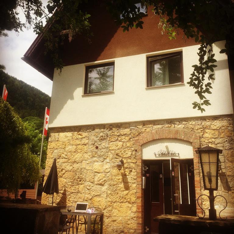 Villa Wellspacher Semmering Ngoại thất bức ảnh