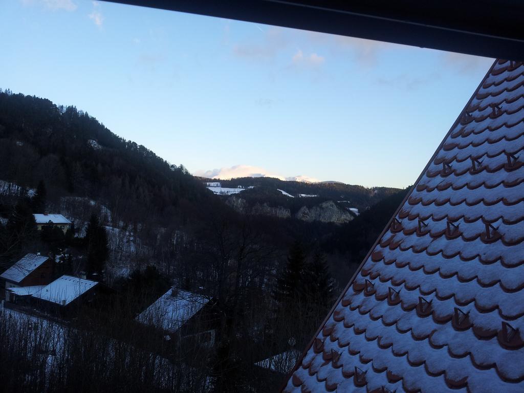 Villa Wellspacher Semmering Ngoại thất bức ảnh
