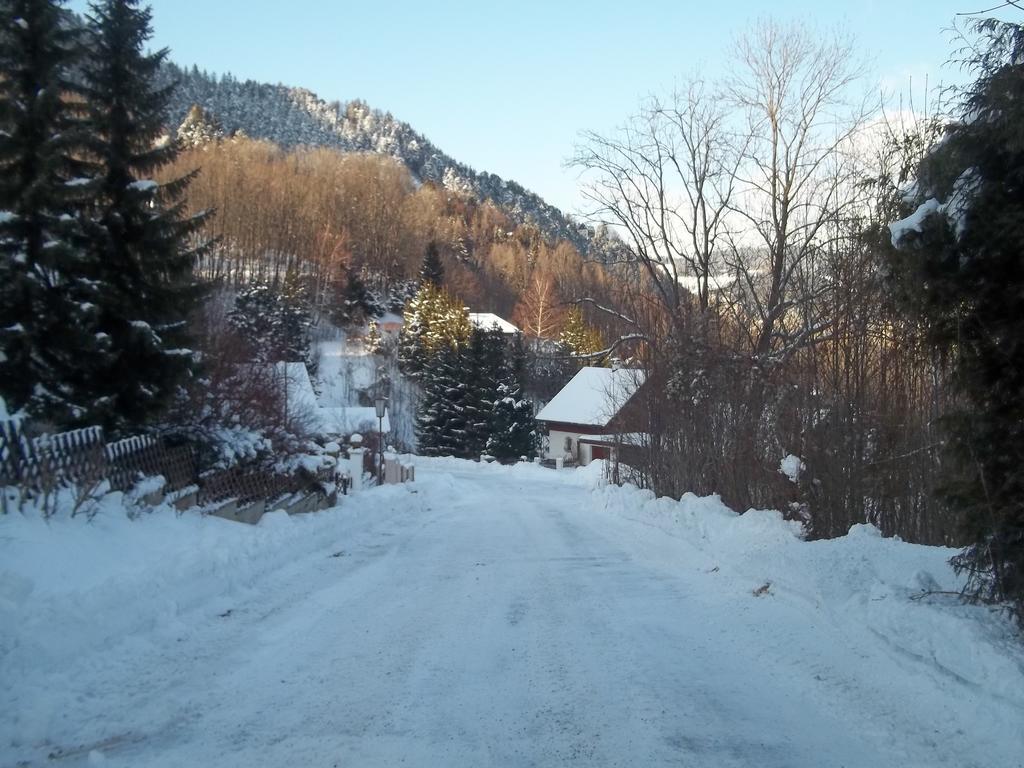 Villa Wellspacher Semmering Ngoại thất bức ảnh